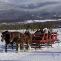 Horse drawn sleigh at Dog Sled Rides of Winter Park