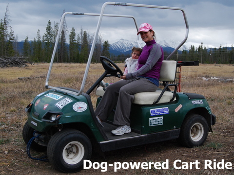 A cart pulled by huskys at Dog Sled Rides of Winter Park.