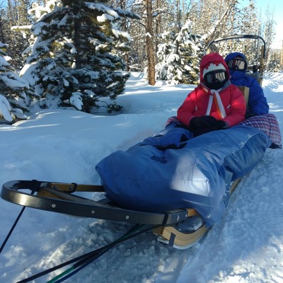 Two guests loaded in the sled.