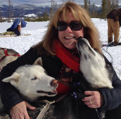 Harpo and Minnie the huskies loving a dog sled guest.