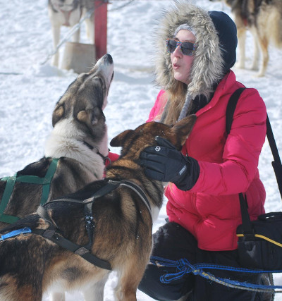 A sled dog puppy receiving de-worming medicine.